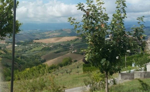 Ristorante Il Salice, Castilenti