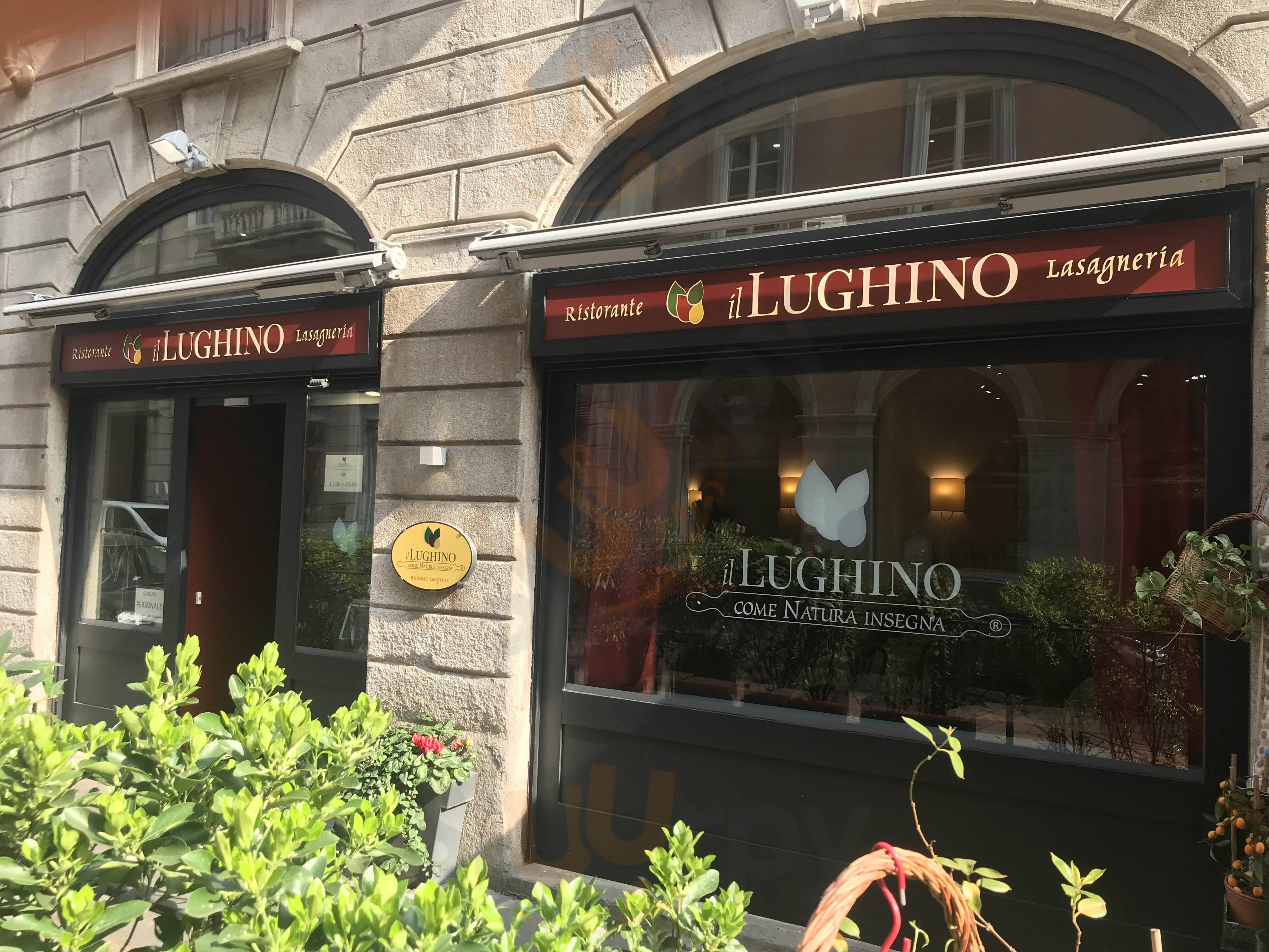 Il Lughino Come Natura Insegna, Milano