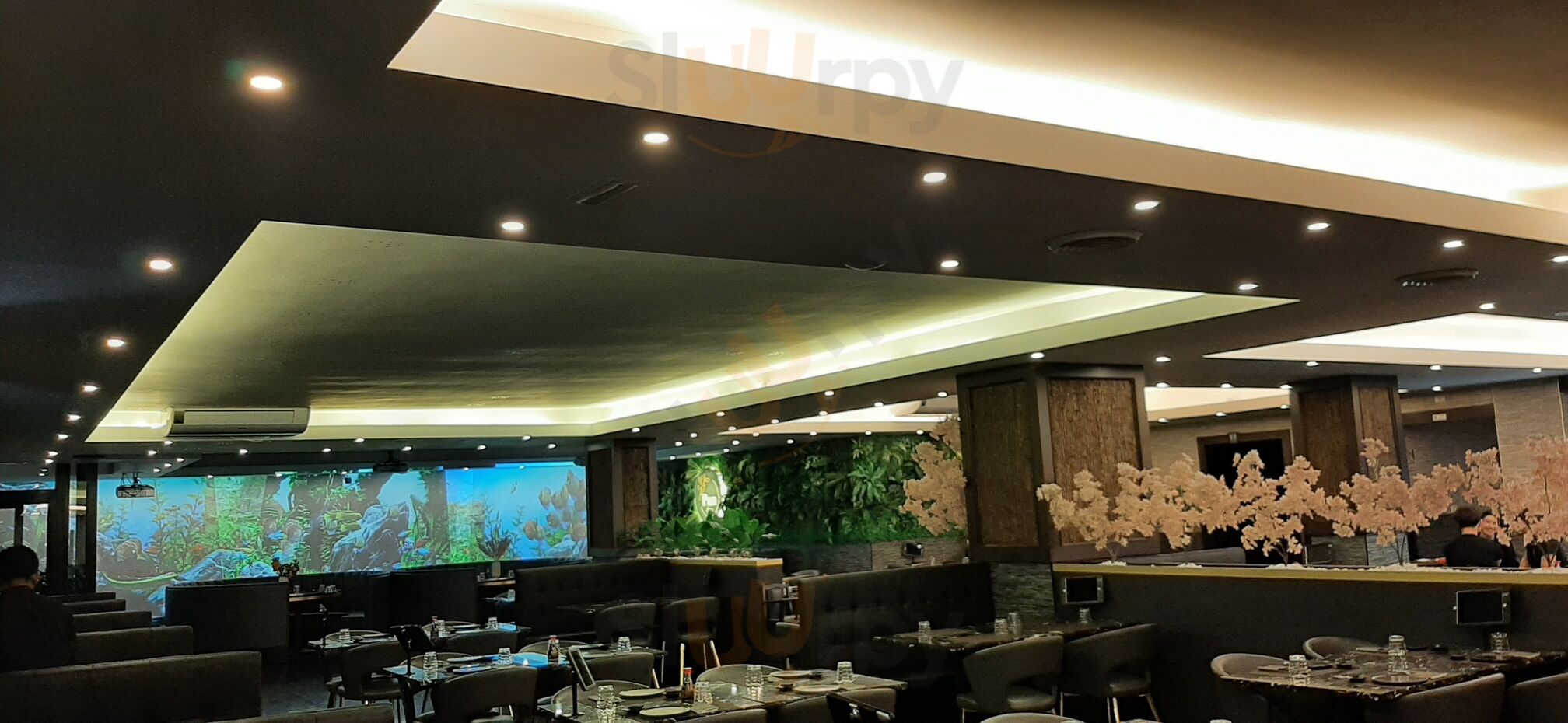 Pan Fusion - Cucina Cinese Giapponese