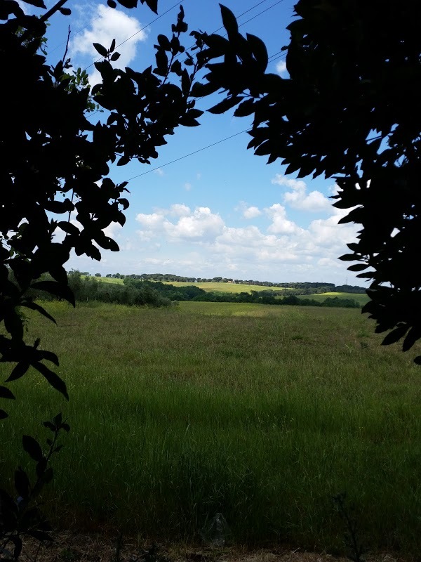 Azienda Agricola Antiqua, Roma