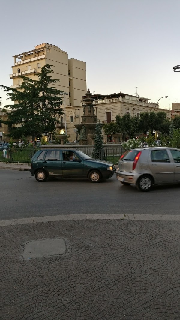 La Focaccia, San Severo