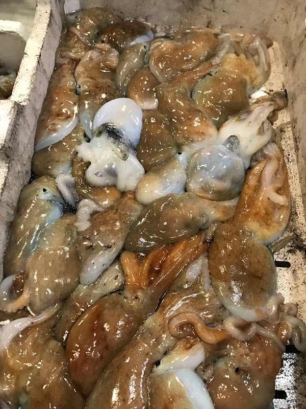 Pescheria Onda Di Pino Lembo, Agropoli