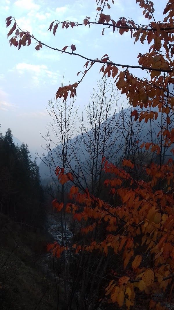 Agriturismo Relais Des Reines, Aosta