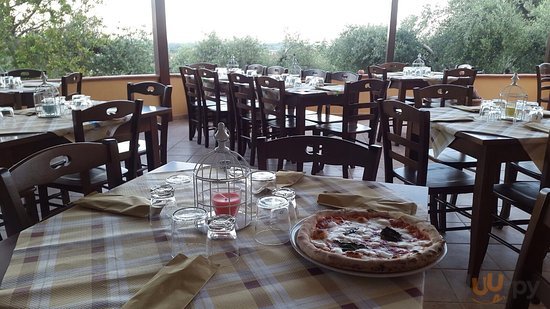 Ristorante Pizzeria Il Pino, Falciano del Massico