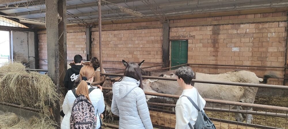 Foto 4 di Aringa Appesa - Sansepolcro