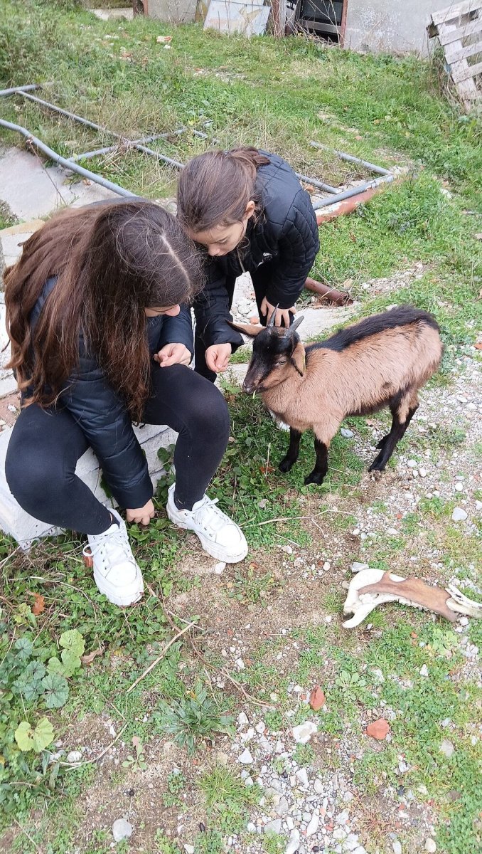 Foto 5 di Aringa Appesa - Sansepolcro