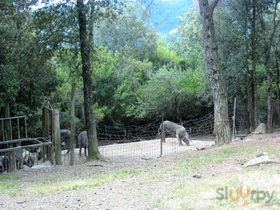 Foto di Ristorante La Bandita - 6/9