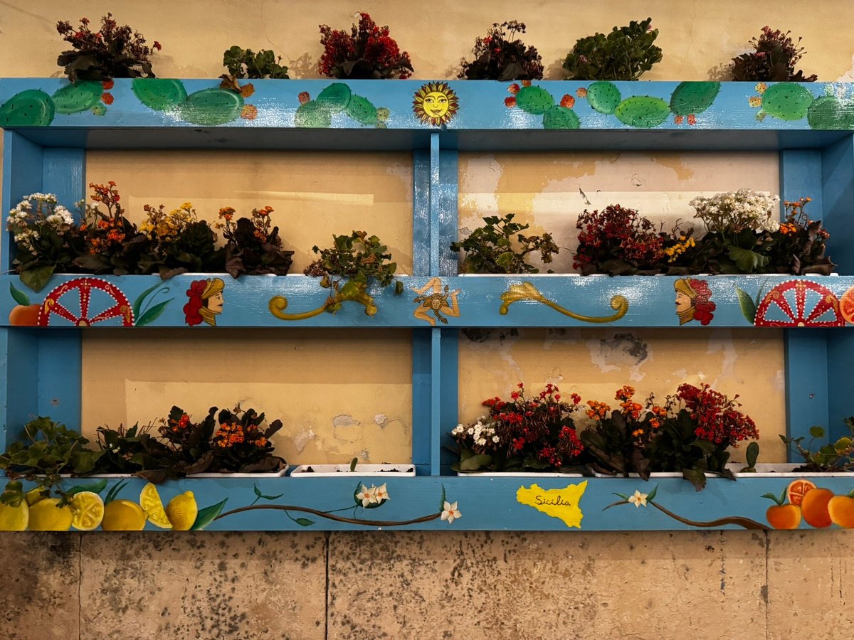 Foto di Sapuri E.... Amuri - 6/10