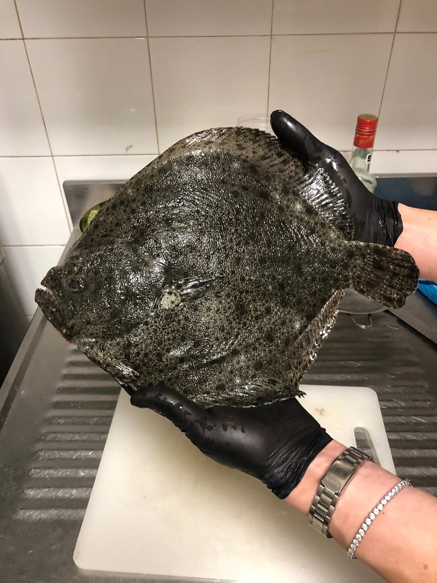 Foto di Caffetteria Ristorante Planamente - 7/8