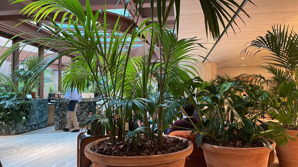 Foto di Bivium Restaurant-café-bar - 10/10