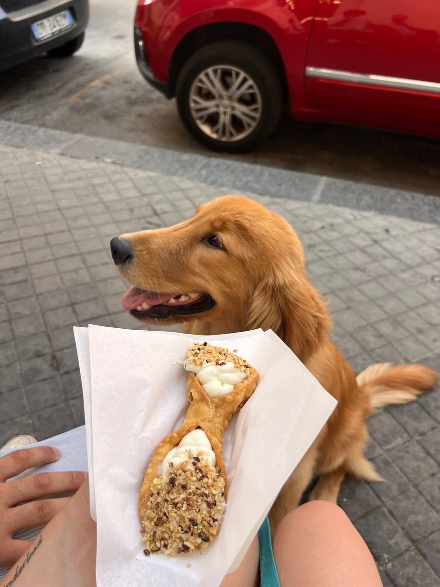 Foto di Cannolì - 7/7