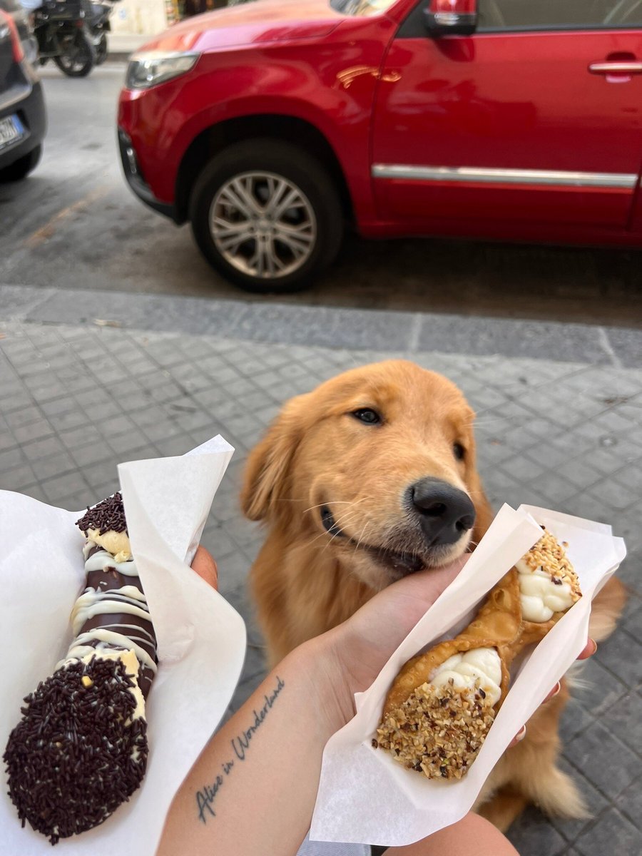 Foto di Cannolì - 6/7