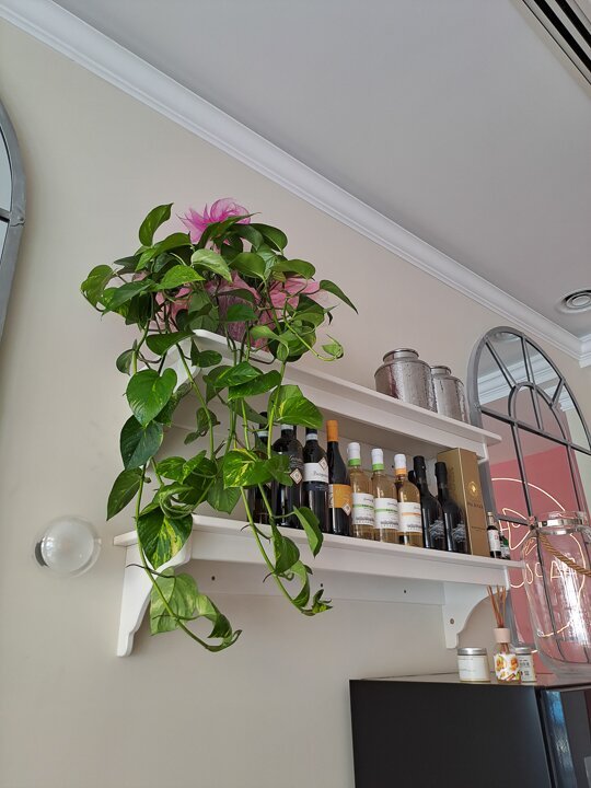 Foto di Paporosa Fish E Co. - 6/10