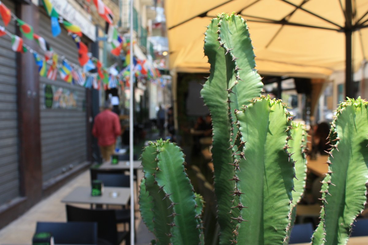 Foto di Mahspremi - 8/10