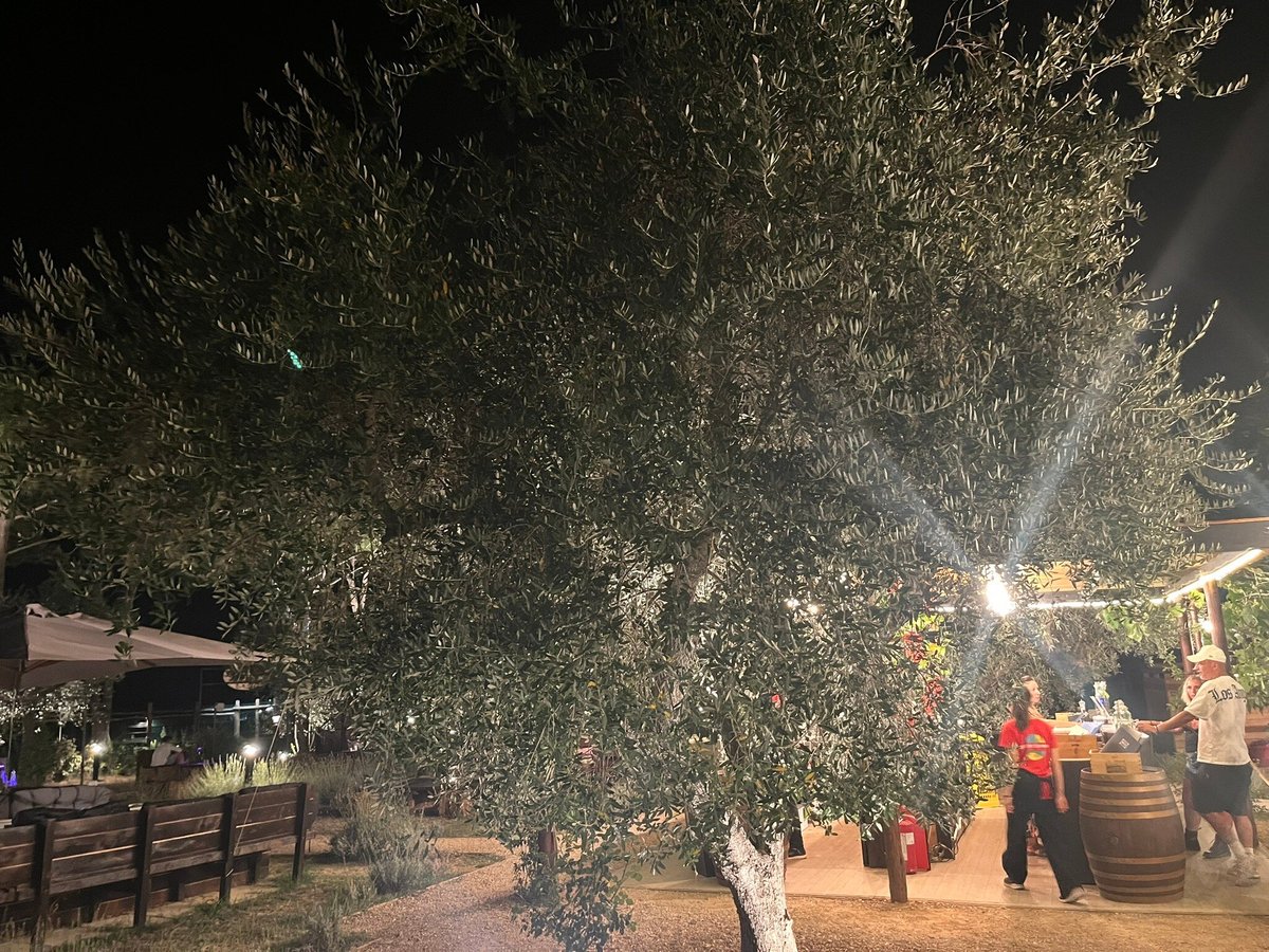 Foto di Secret Garden Agribar & Barbeque - 8/10