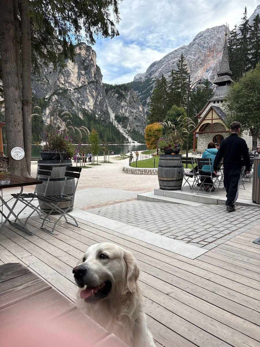 Foto di Emmas Bistrot - 9/10