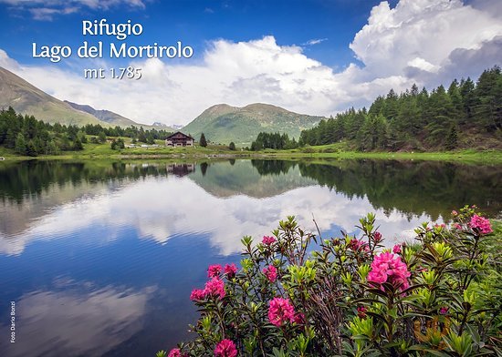 Rifugio Al Lago Del Mortirolo, Monno