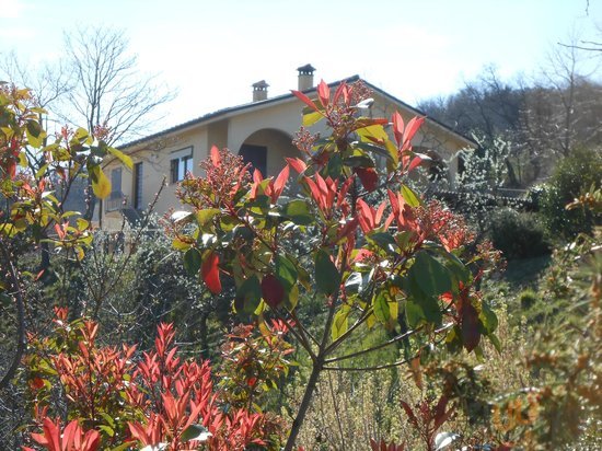 Azienda Agrituristica Costa Della Figura, Montefelcino