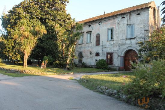 Fattoria Didattica Azienda Agricola Vesuviana Eredi Beneduce Ettore, Somma Vesuviana