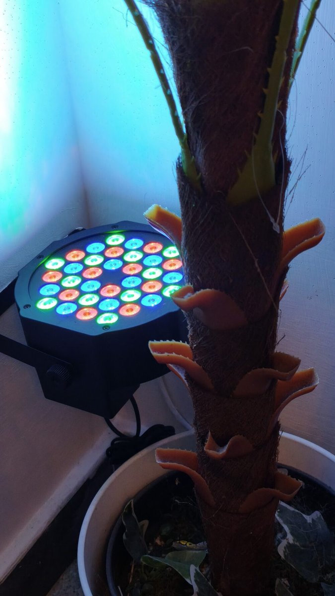 Foto 5