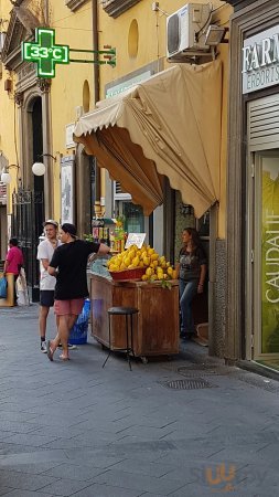 Oasi Chiaia, Napoli