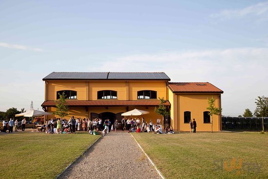 Enoteca Dell'azienda Vitivinicola Biologica Zuffa, Imola