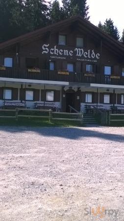 Agriturismo Schene Welde, Ampezzo