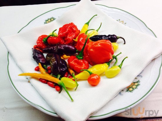 Il Giardino 1931 A Zagarolo Menù Prezzi Recensioni Del Ristorante