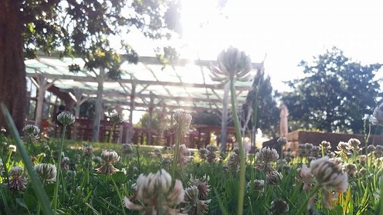 Il Giardino Dei Satiri, Cerveteri