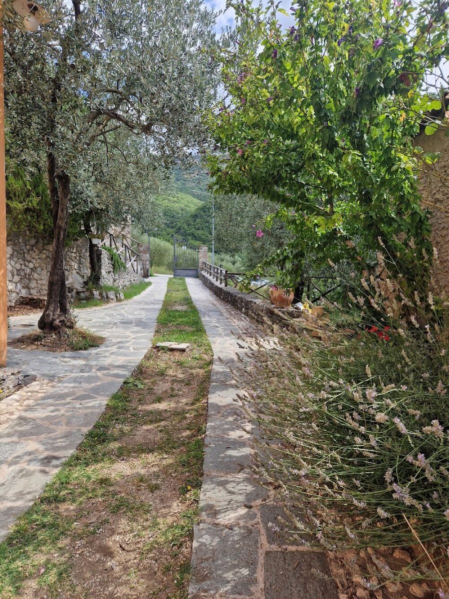 Foto 4