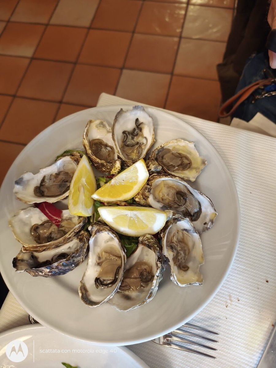 Foto 2 di Ristorante Da Plinio - Frosinone