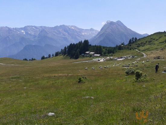 Agriturismo Fattoria Pian Dell'alpe, Usseaux