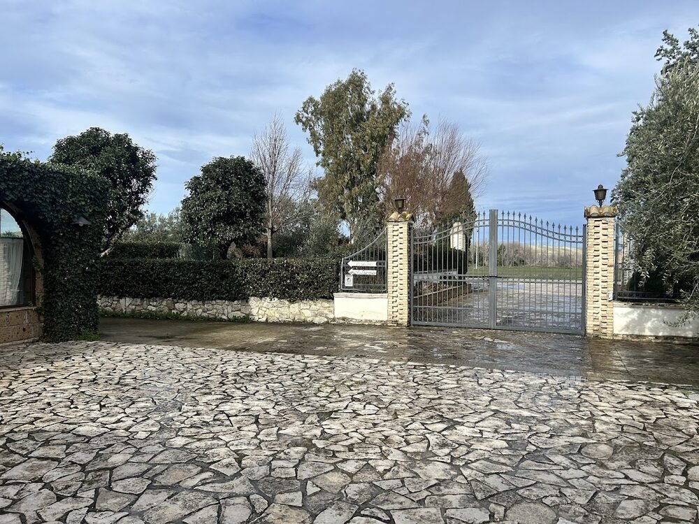 Foto 2 di Tenuta Capaccio - Bovino