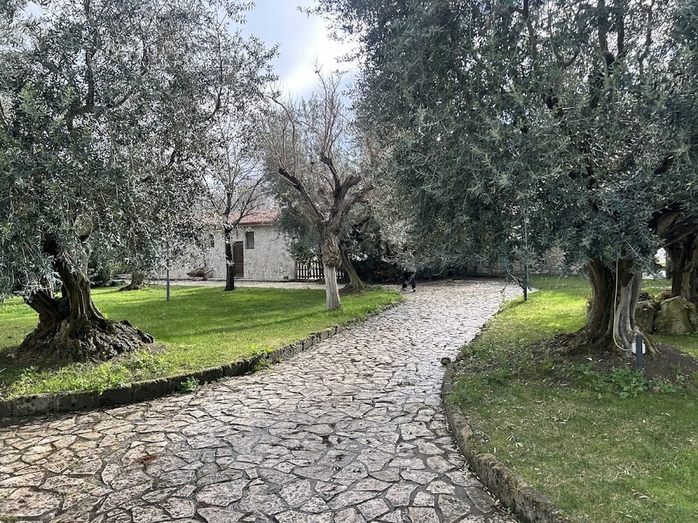 Foto 3 di Tenuta Capaccio - Bovino