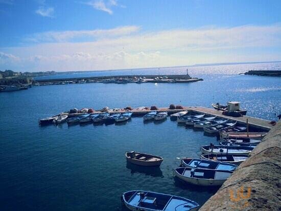 Baia Verde Gallipoli A Gallipoli Menù Prezzi Recensioni