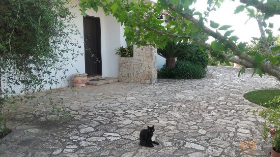 I Sapori Del Salento, Taviano