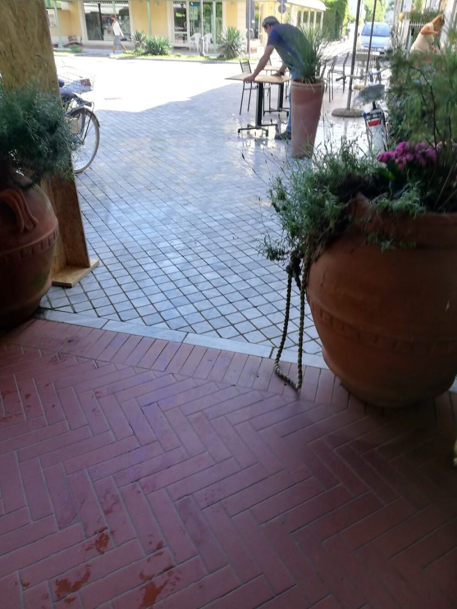 Foto 3 di Bar Cervetti - Pietrasanta