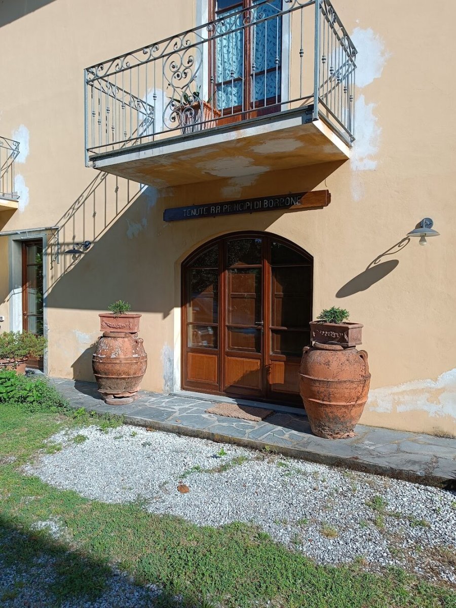 Foto 3 di La Verdina - Camaiore