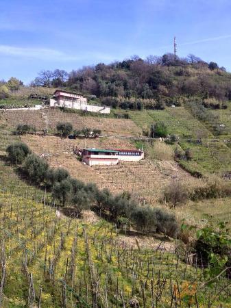 Circolo Il Torchio, Massa