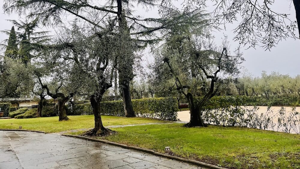 Foto 5 di La Buona Novella - Firenze