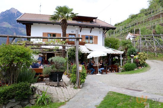 Fernblick Im Weinberg, Tirolo