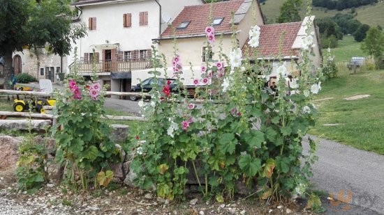 Agriturismo Lincanto, Selva di Progno