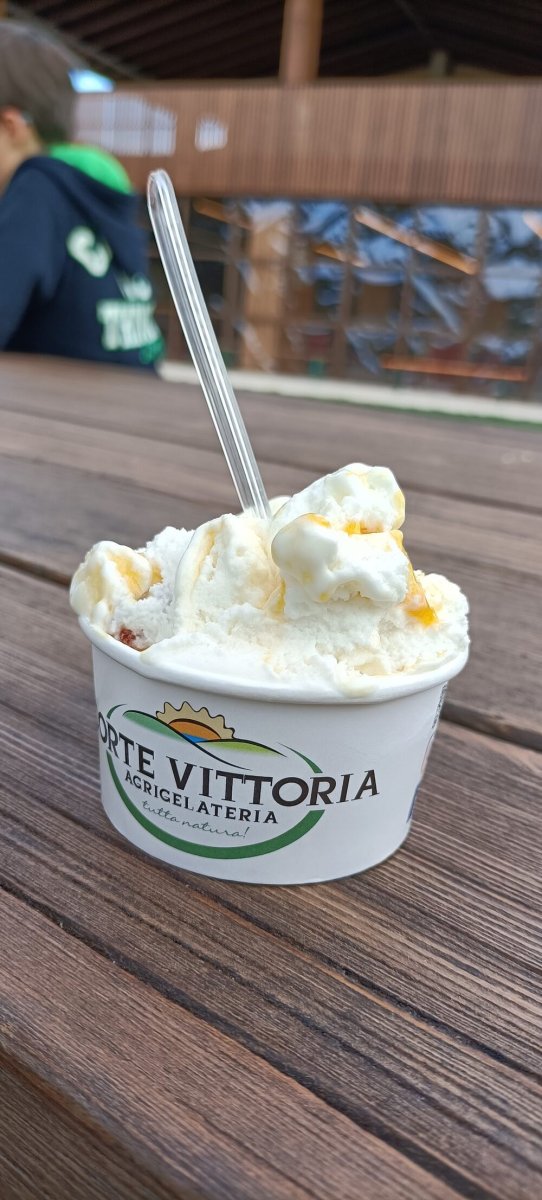Foto 4 di Agrigelateria Corte Vittoria - Sommacampagna