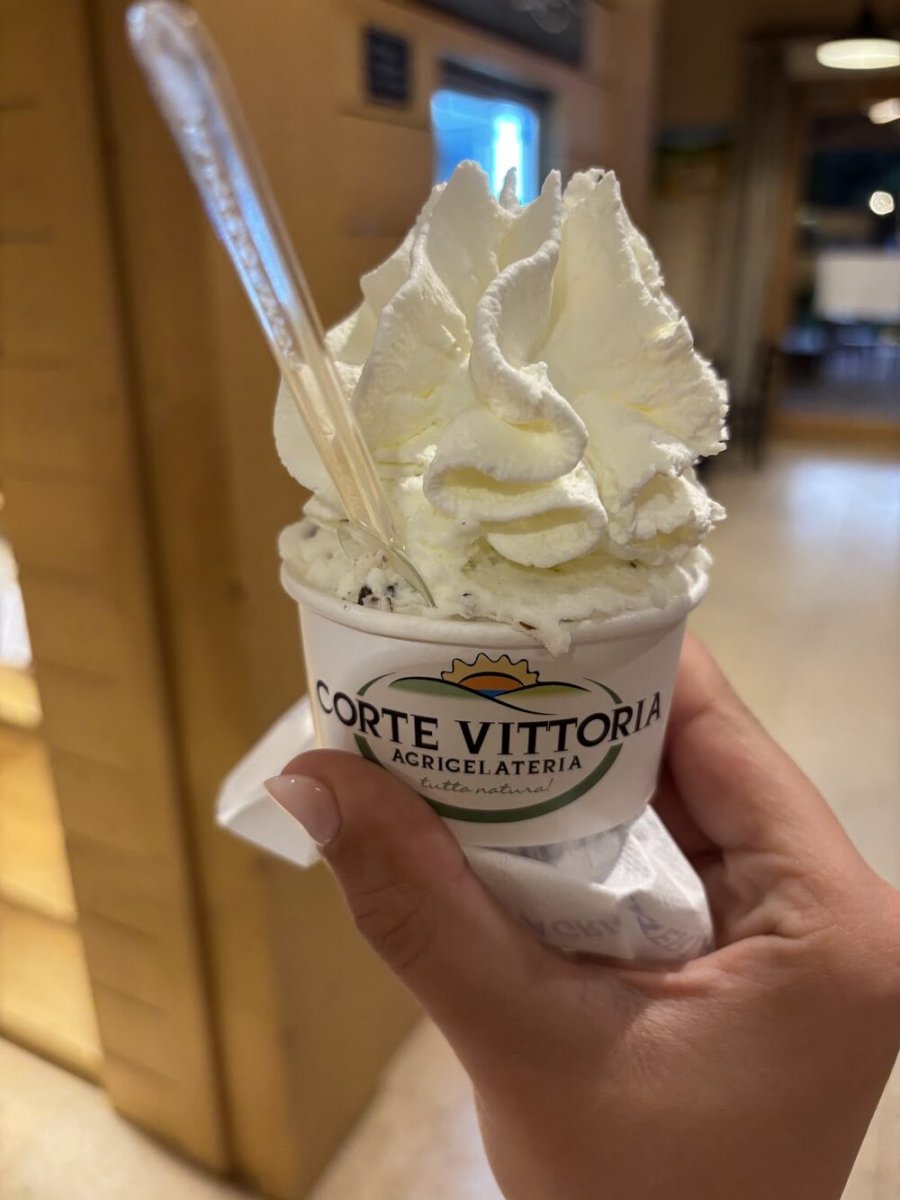 Foto 2 di Agrigelateria Corte Vittoria - Sommacampagna