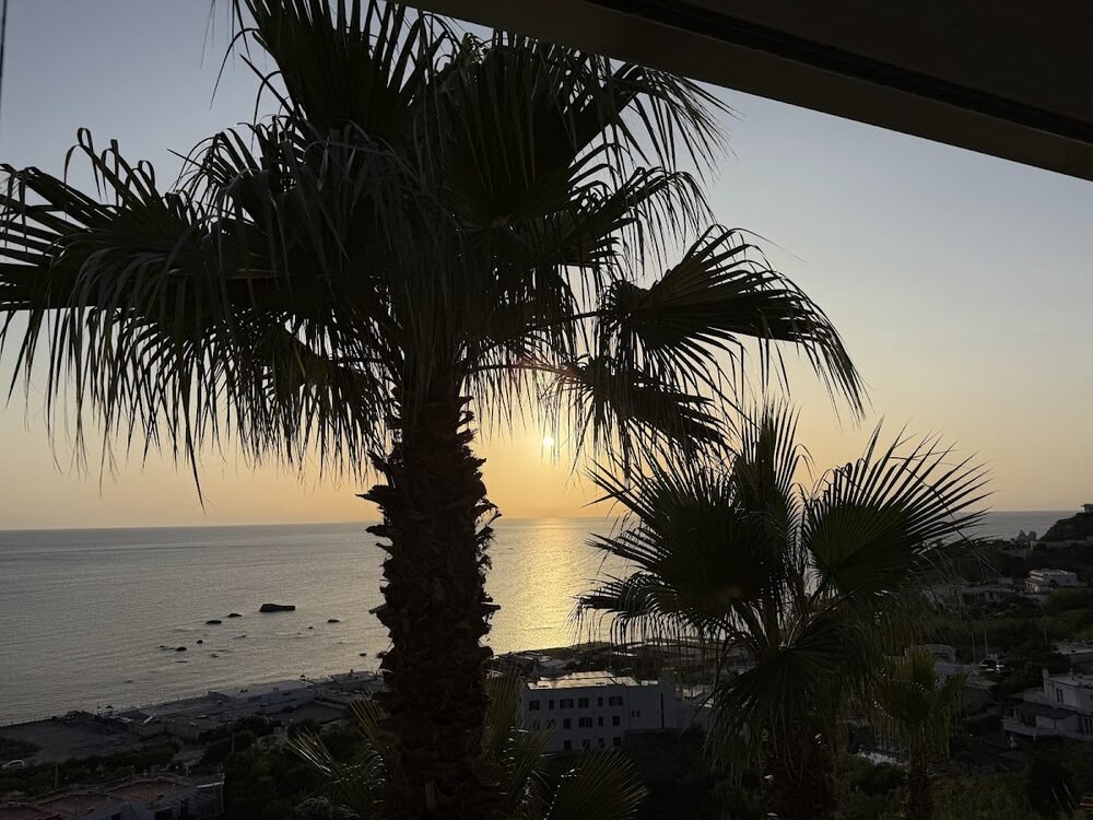 Foto 5 di Ristorante Oasis Pizzeria & Piano Bar Dancing - Forio