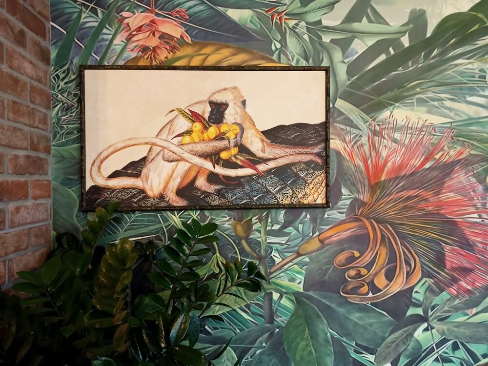 Foto 4