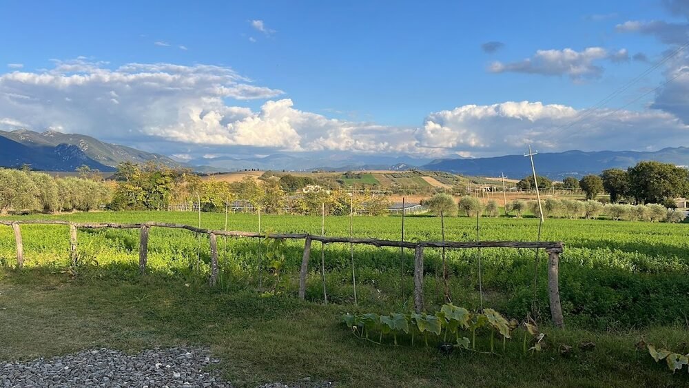 Foto 4