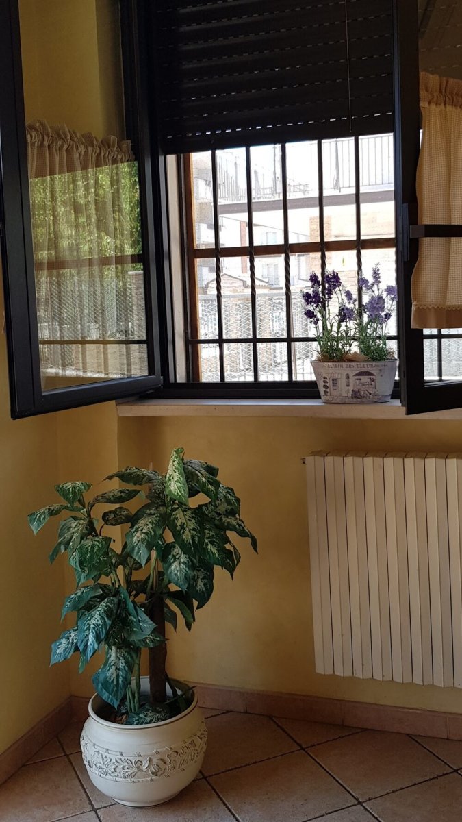 Foto 5 di Pranzi Express - San Giovanni Rotondo