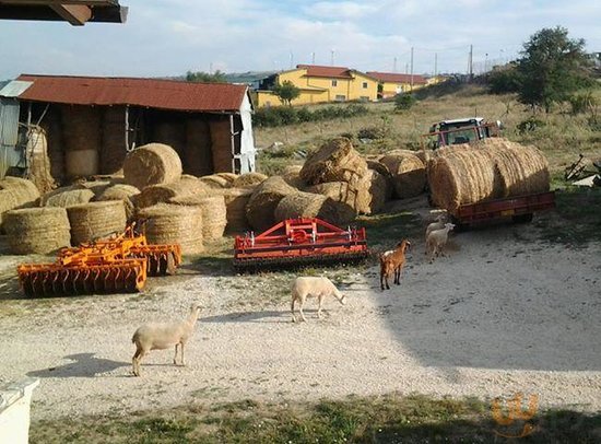 Agriturismo Martone, Rocca San Felice