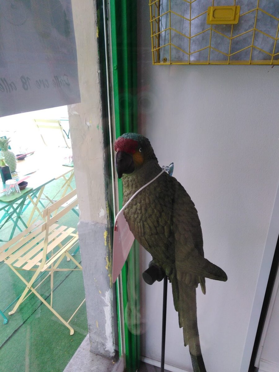 Foto 3